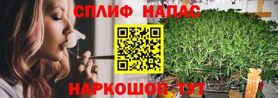 гидропоника Моздок