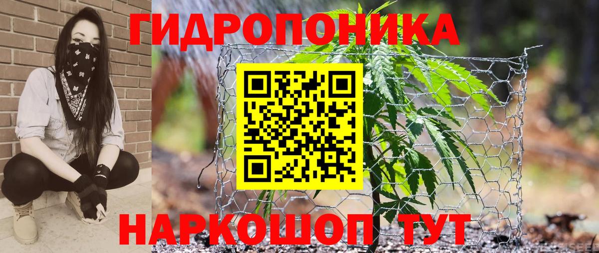 Канабис индика  Бошки марихуана VHQ  Тамбов  Бошки Шишки марихуана  Канабис тримм  Вход с VPN 